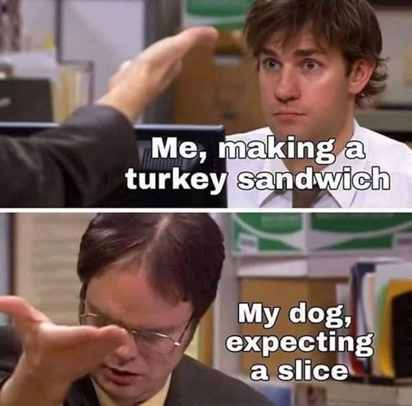 dogmemes_001