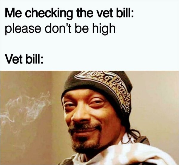 dogmemes_006