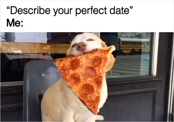 dogmemes_008