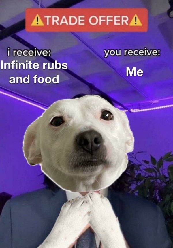 dogmemes_012