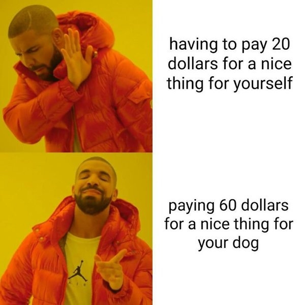dogmemes_015