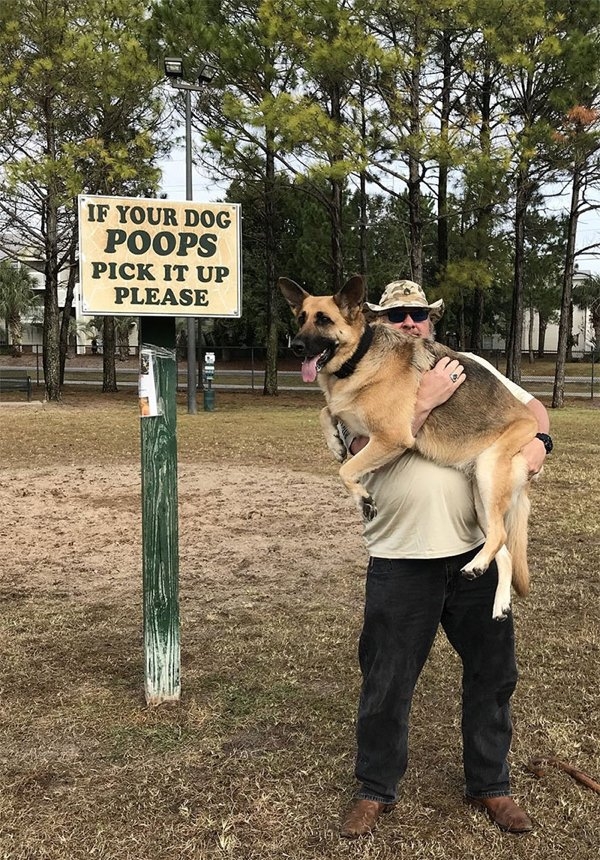 dogmemes_016