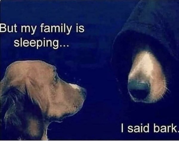 dogmemes_020