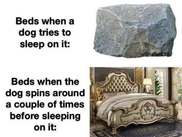 dogmemes_024