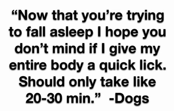 dogmemes_025