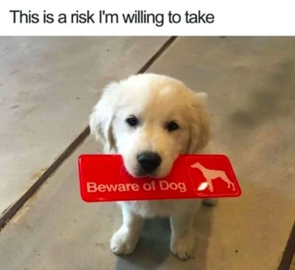 dogmemes_029
