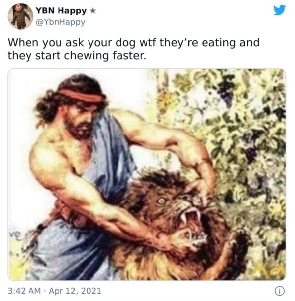 dogmemes_030