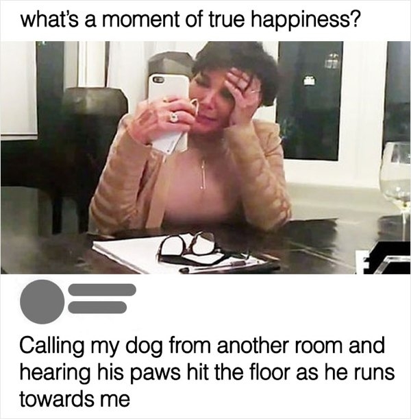 dogmemes_032