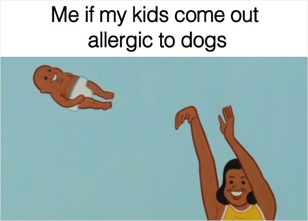 dogmemes_033