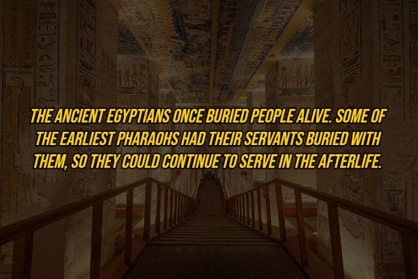 egyptfacts_004