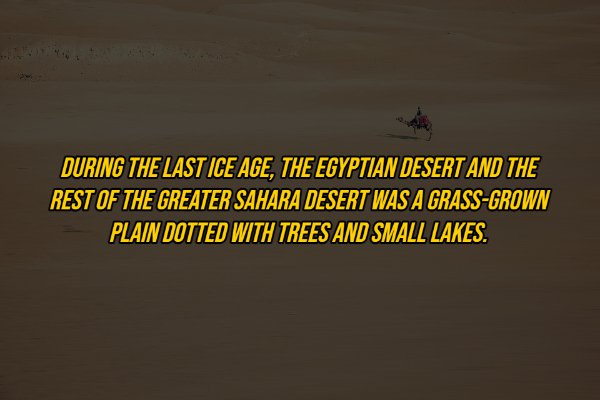 egyptfacts_016