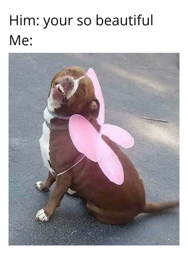 flirtmemes_004