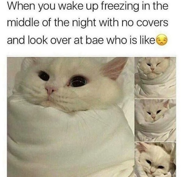 flirtmemes_008