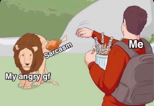 flirtmemes_014