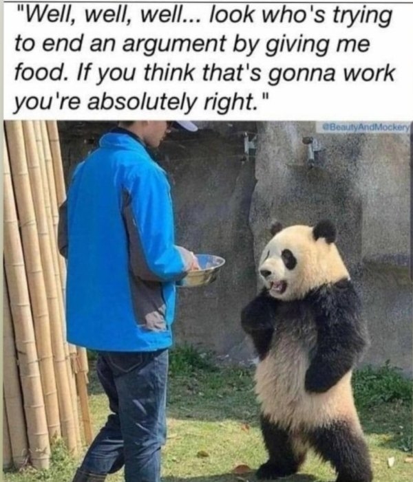 flirtmemes_022