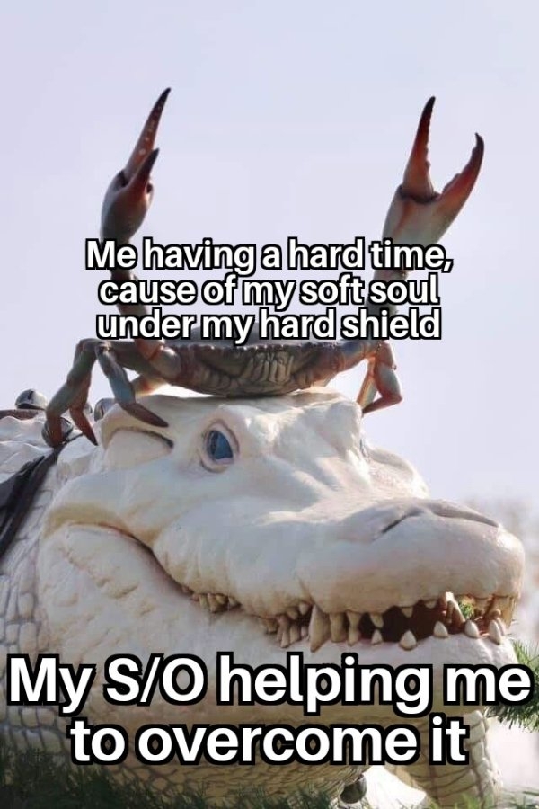flirtmemes_024