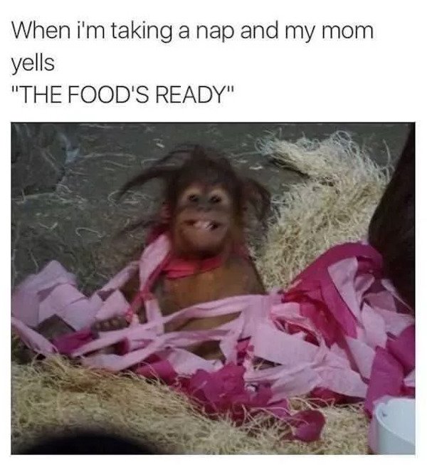 foodmemes_038