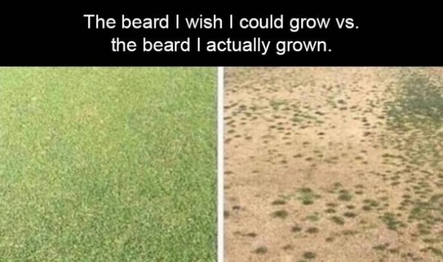 funnymemes4_052
