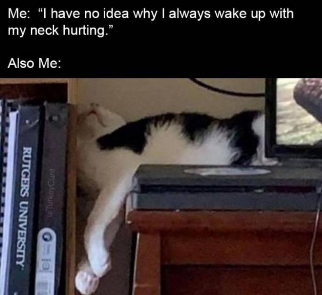 funnymemes4_055