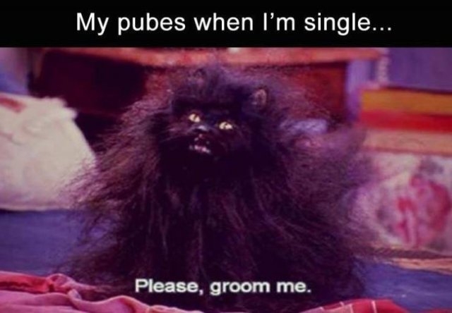 funnymemes5_059
