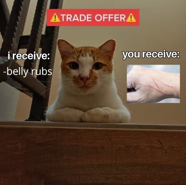 funnymemes8_002