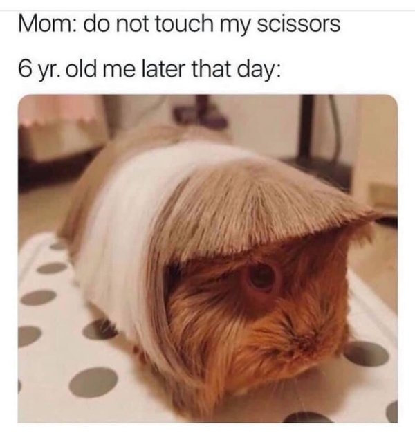 funnymemes8_004