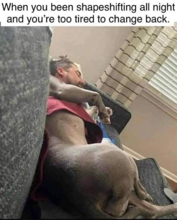 funnymemes8_025