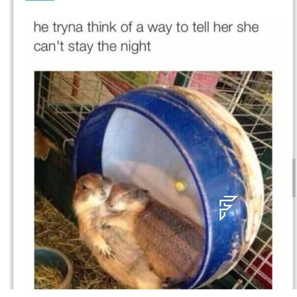funnymemes8_030