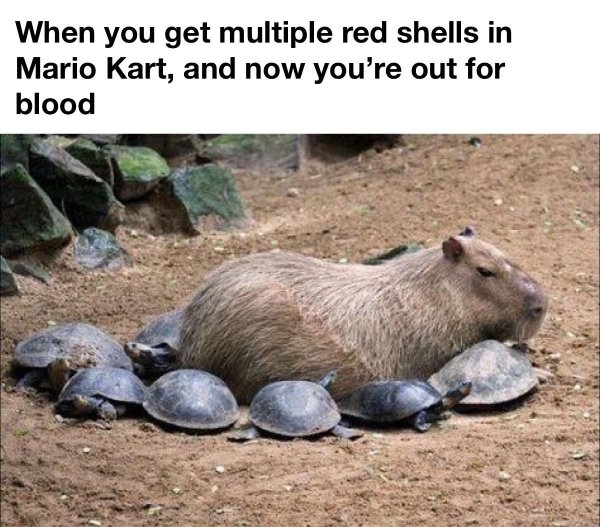 funnymemes8_031