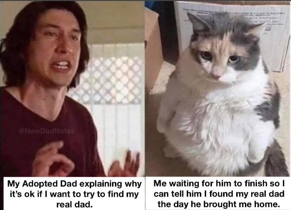 funnymemes8_035