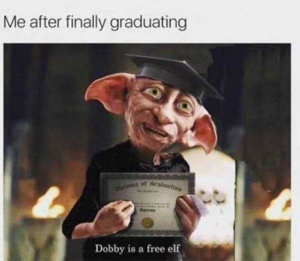 graduationmemes_016