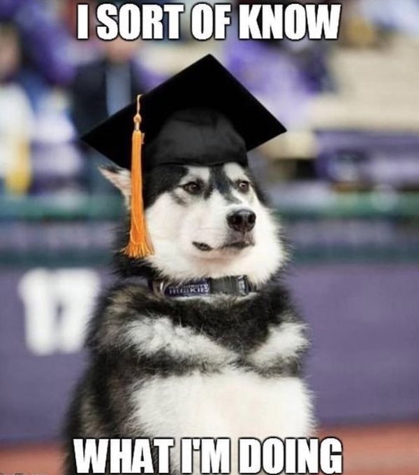 graduationmemes_025