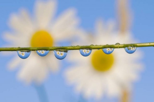 greatphotography_007