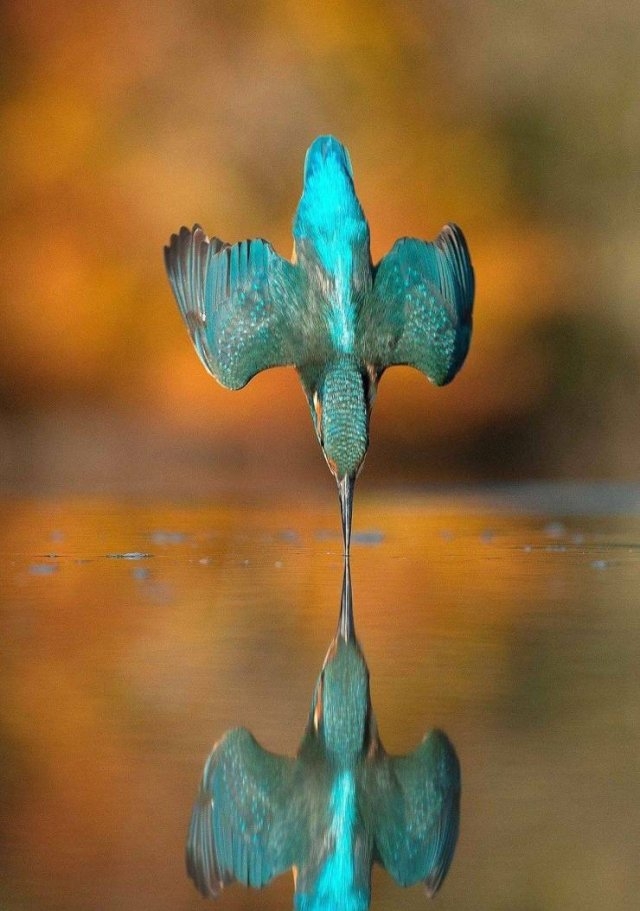 greatphotography_012