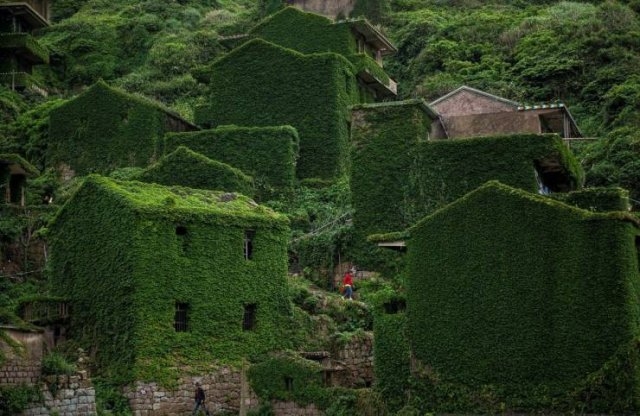 greatphotography_013