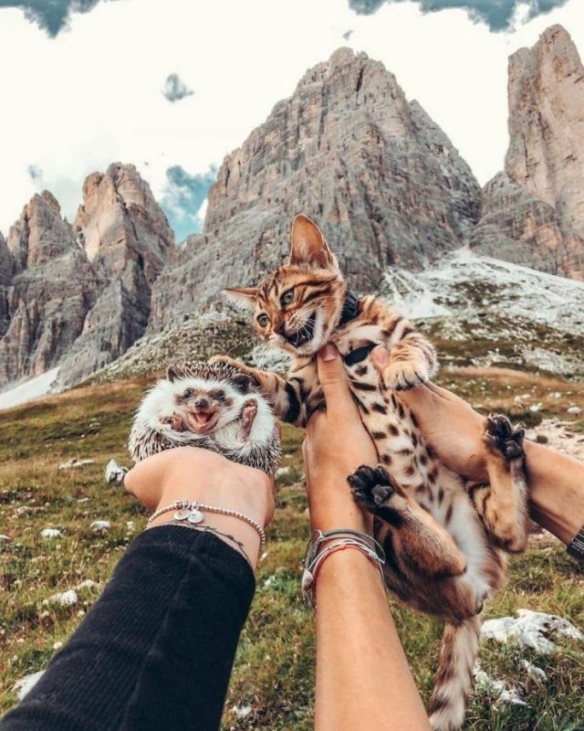 greatphotography_018