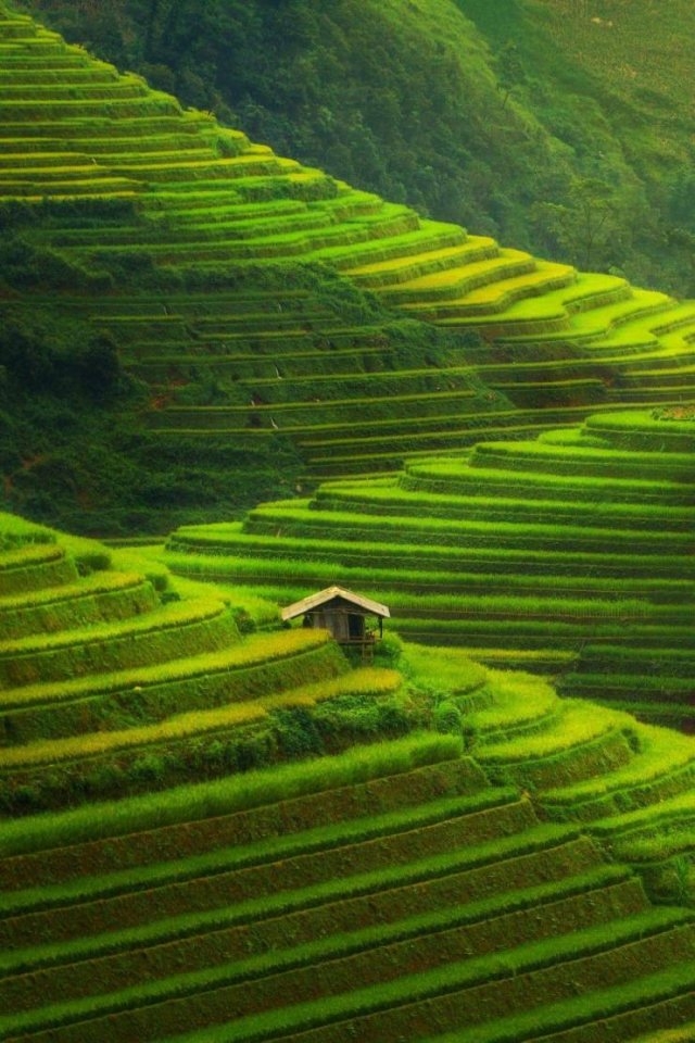 greatphotography_021