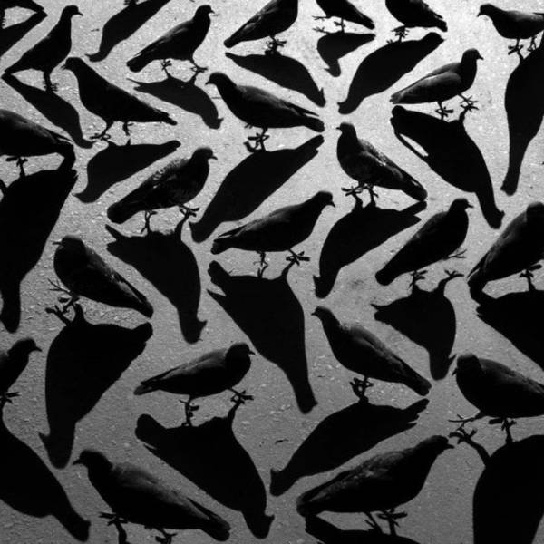 greatphotography_035