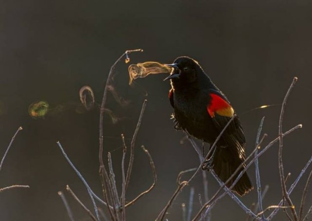 greatphotography_040