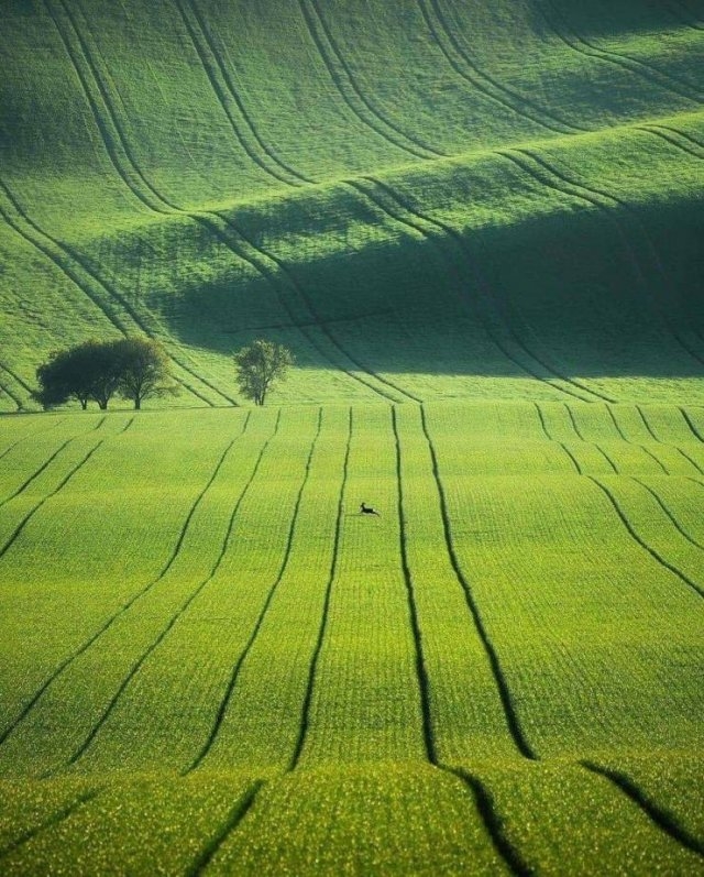 greatphotography_070