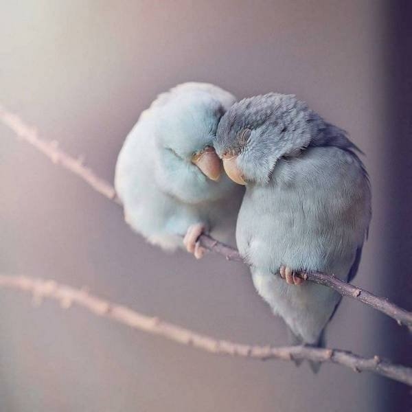 greatphotography_080