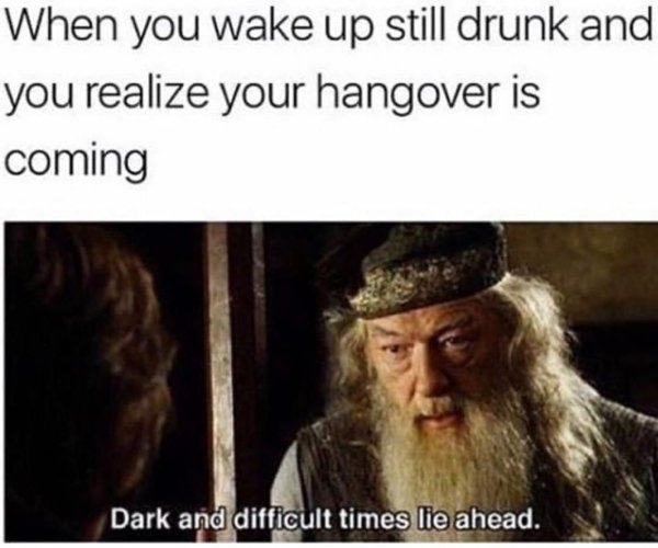 hangovermemes_014