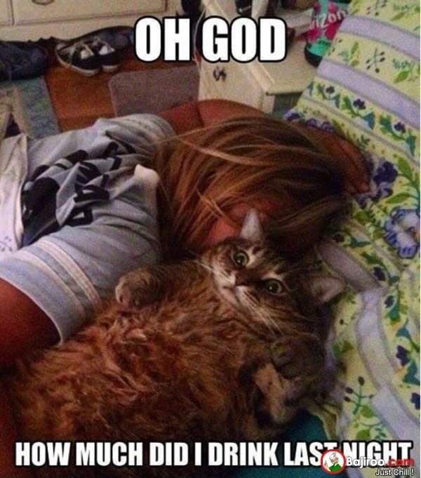 hangovermemes_033