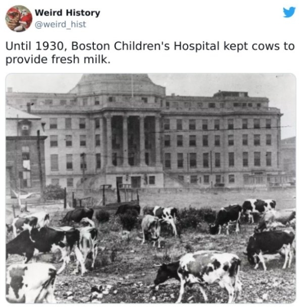 historicalfacts5_019