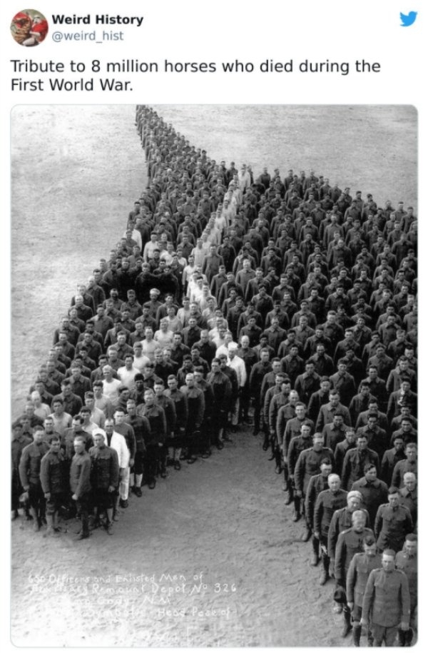 historicalfacts5_028