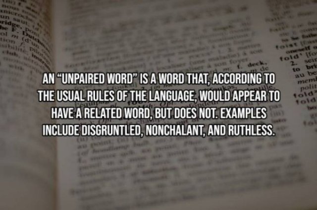 interestingdata3_007