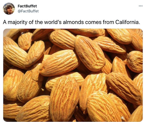 interestingfacts2_004