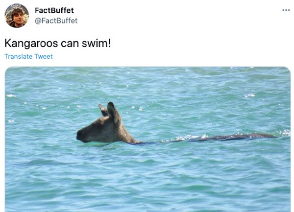 interestingfacts2_011