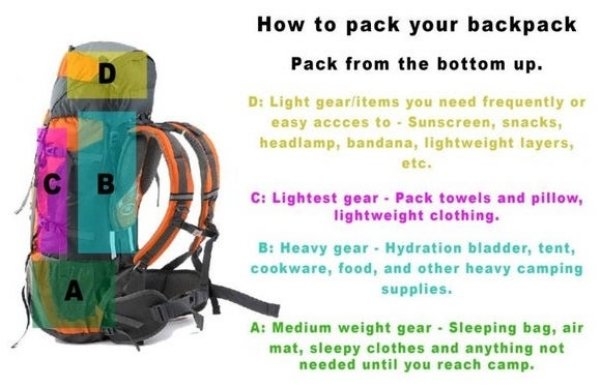 interestingfacts2_072