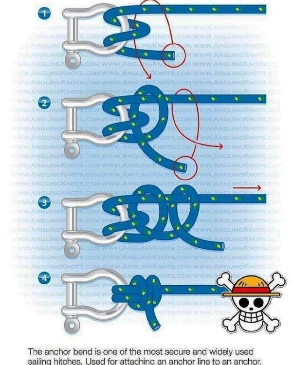 interestingfacts2_076